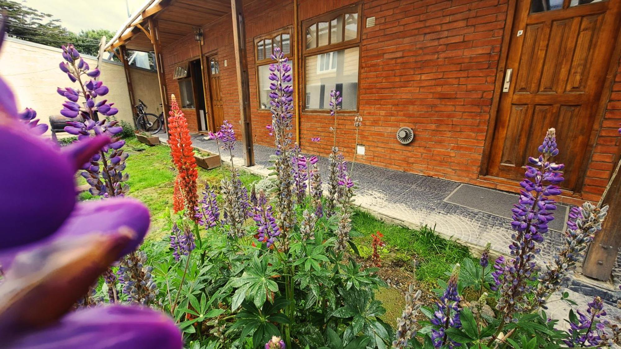 Terrazas Del Sur Apartment Ushuaia Exterior photo